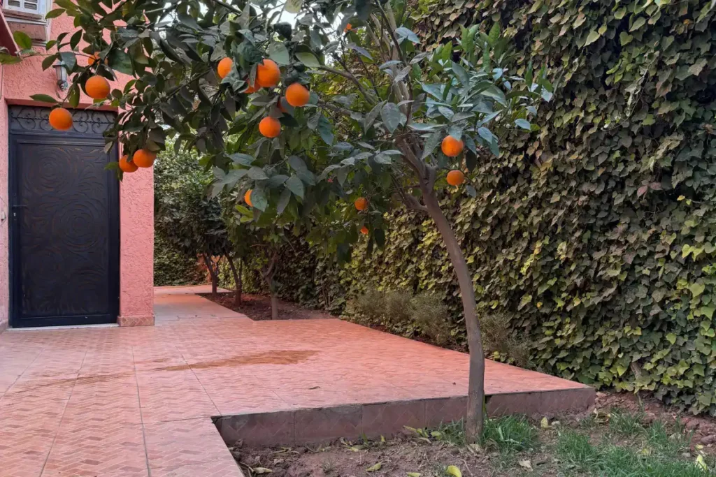 Villa massira 3 Marrakech5